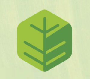 logo dcx